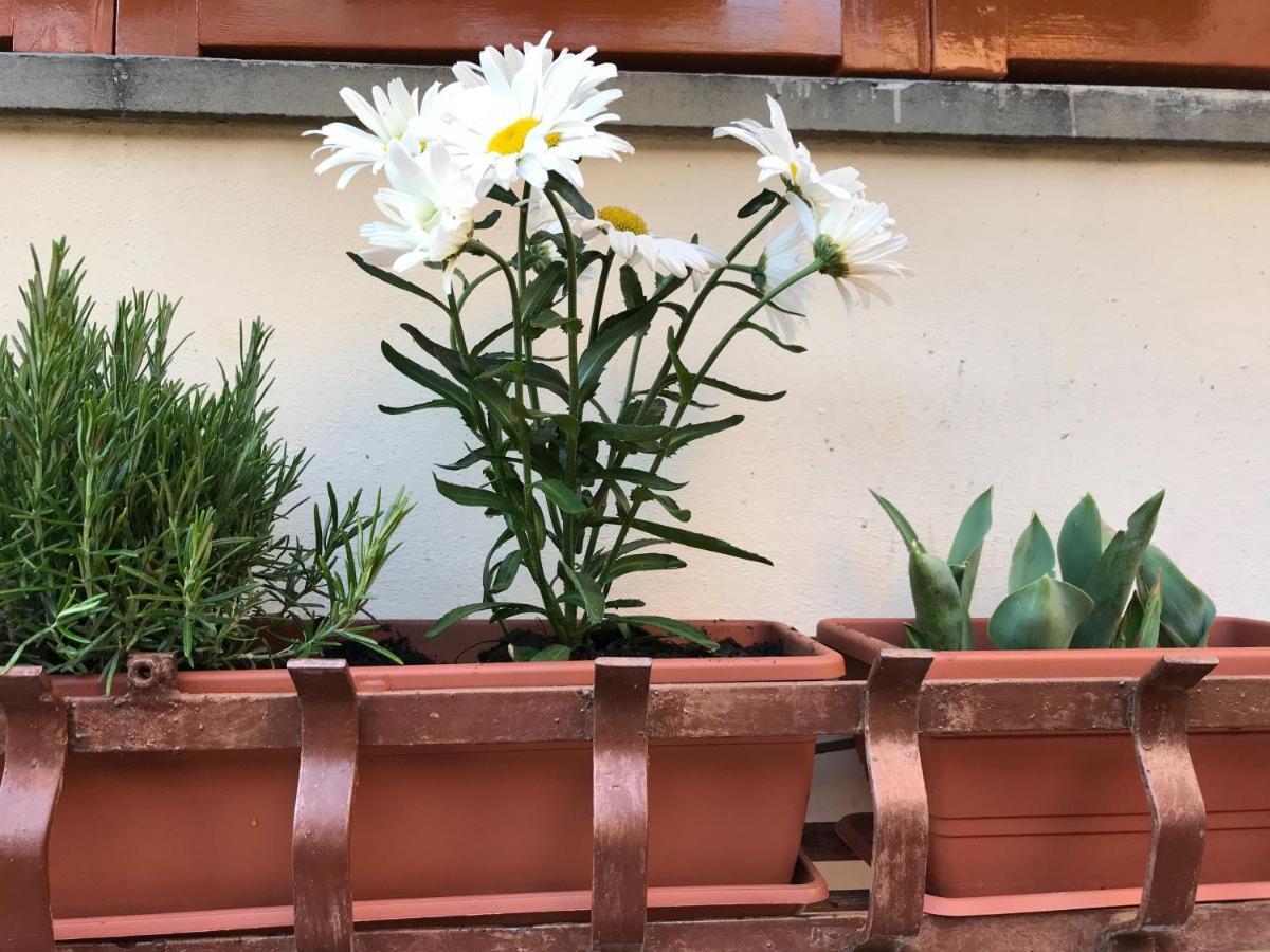 La Casa Fra Gli Ulivi Apartment Lerici Bagian luar foto